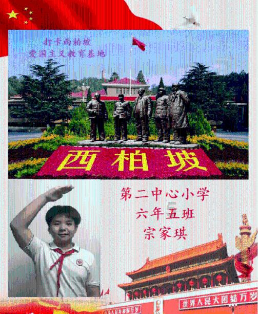 奇妙香蕉之旅